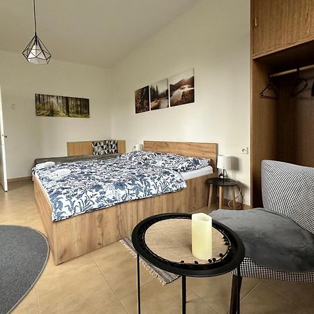 Apartman Aneta Nove Mesto Na Morave Exterior foto